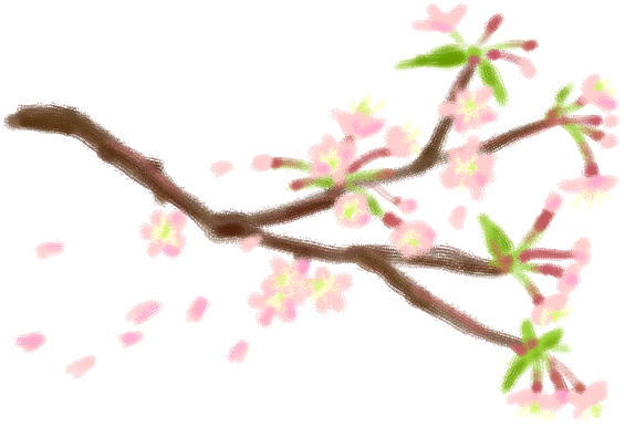 桜のblog